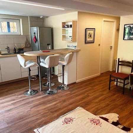 Appart Prive Dans Villa Meinau Residentiel Strasbourg Kültér fotó