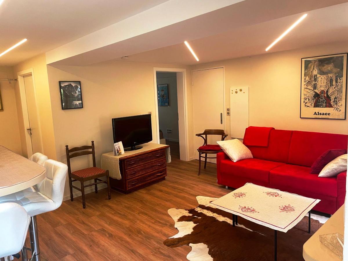 Appart Prive Dans Villa Meinau Residentiel Strasbourg Kültér fotó