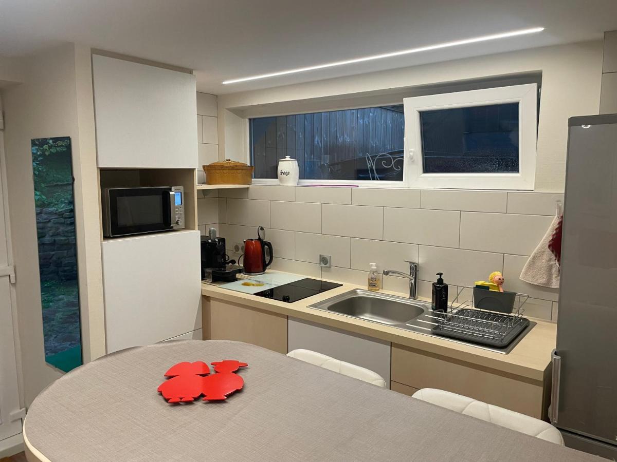 Appart Prive Dans Villa Meinau Residentiel Strasbourg Kültér fotó